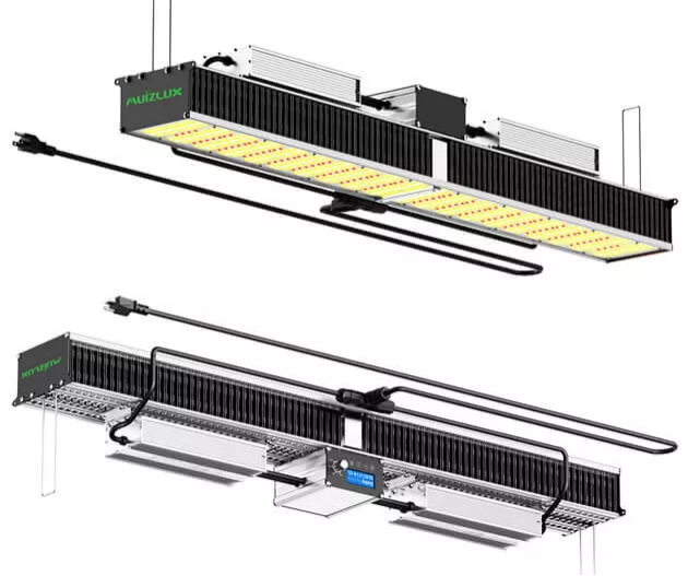 Indoor Agriculture Lighting 2022