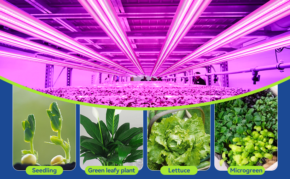 LED Grow Light Bar 2022